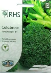 Calabrese Marathon F1 RHS Seed